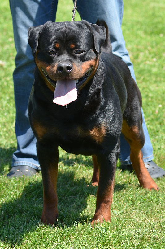 Yumbo von der Alten Festung Yumbo von der Alten Festung